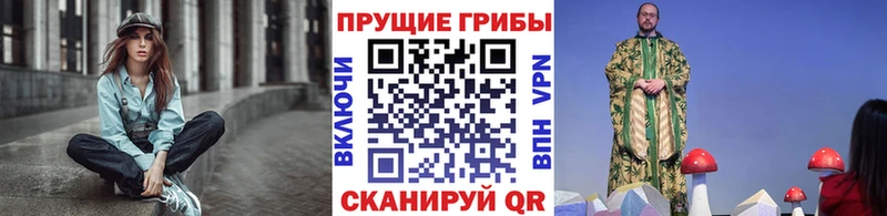 blacksprut   где купить наркоту  Куйбышев  Галлюциногенные грибы Magic Shrooms 