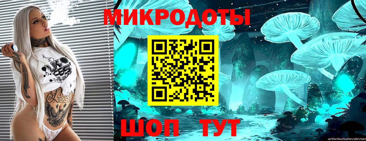 Псилоцибиновые грибы MAGIC MUSHROOMS Куйбышев